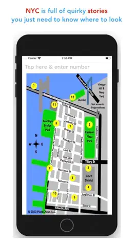 Game screenshot PlaceChase NYC BrooklynBound apk