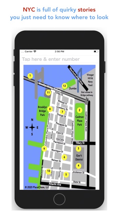 Screenshot #2 pour PlaceChase NYC BrooklynBound