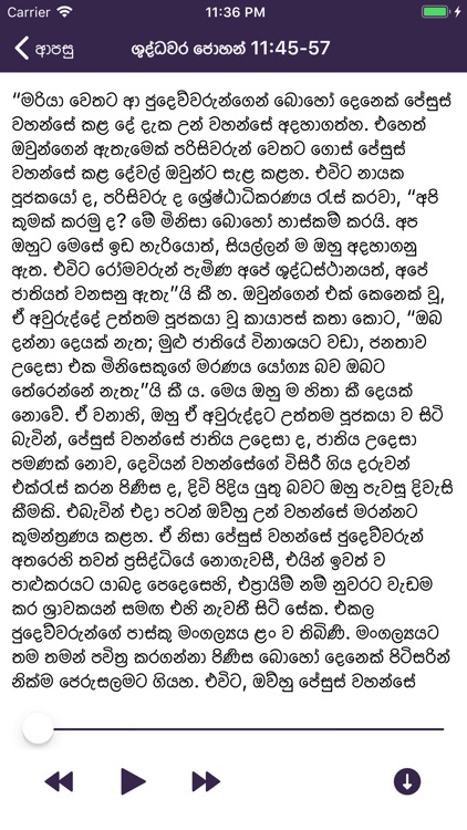 Sinhala Audio Bible screenshot-8