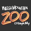 Welsh Mountain Zoo Guide