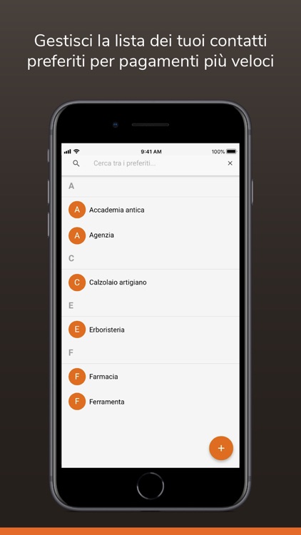 Io Pago Venetex screenshot-5