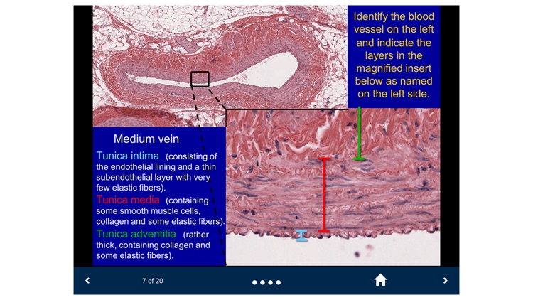 Histology Lite - SecondLook screenshot-3