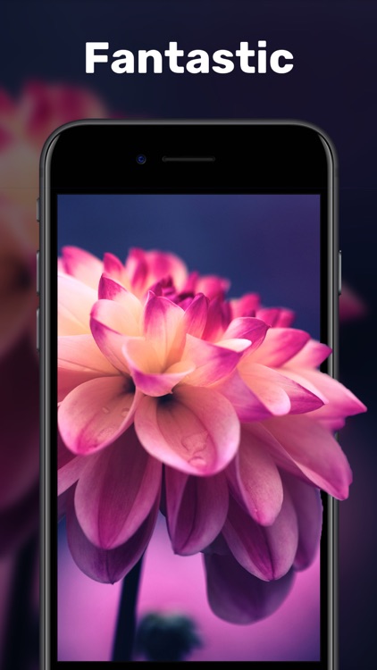 Live Wallpapers & Video Maker