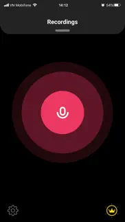 voice recorder plus app iphone images 1