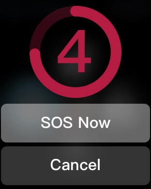 Apple Watch screenshot