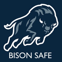 Bison Safe