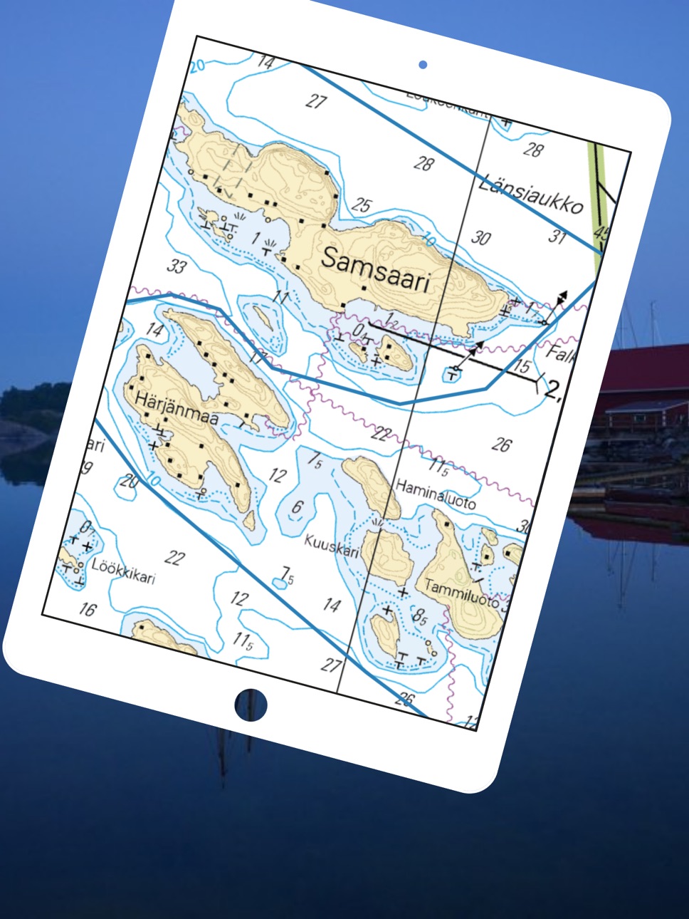 iPad screenshot