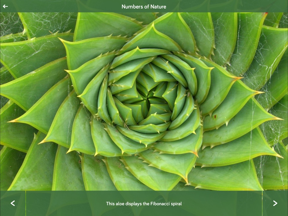 #2. Incredible Numbers! (iOS) 来自: NatureGuides Ltd.