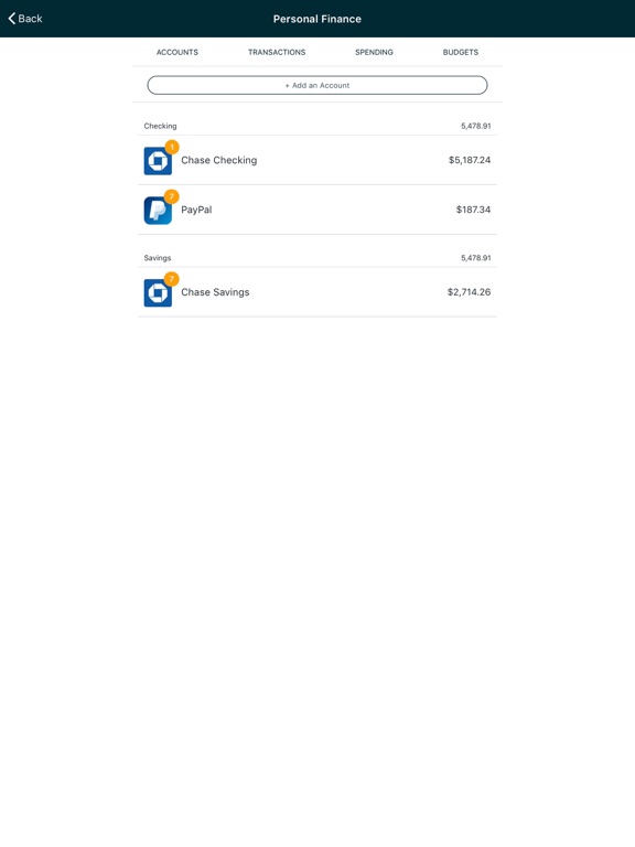 FIS Digital One Consumer iPad screenshot