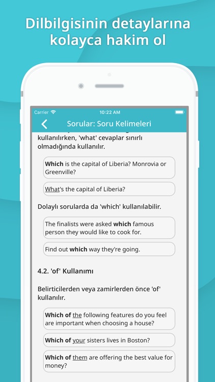 Lingustica - İngilizce öğren screenshot-7