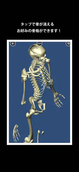 Game screenshot Bone (ボーン) apk