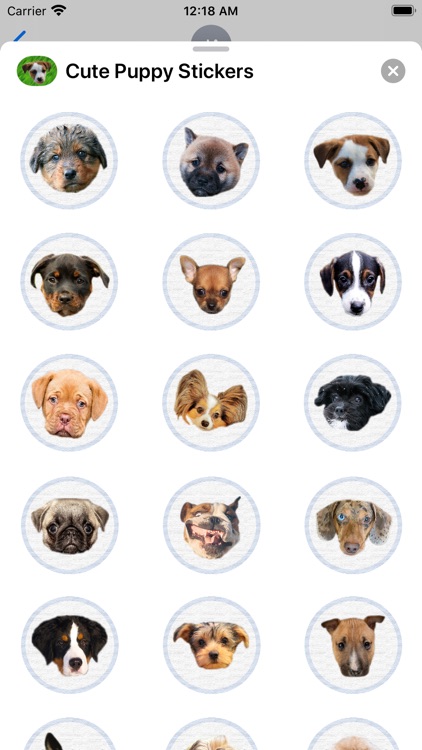 Cute Puppy - Stickers