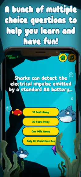 Game screenshot Shark Trivia! apk