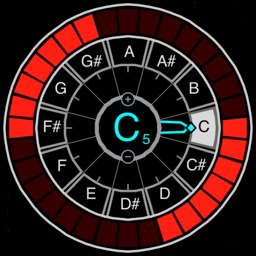 Precision Strobe Tuner