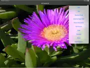 replicate™ for ipad айпад изображения 2