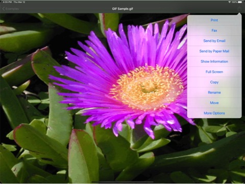 Replicate™ for iPadのおすすめ画像2