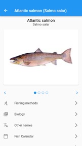 Skærmbillede