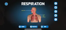 Game screenshot Cellular Respiration Process mod apk
