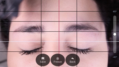 BeautyPro Symmetry App Screenshot