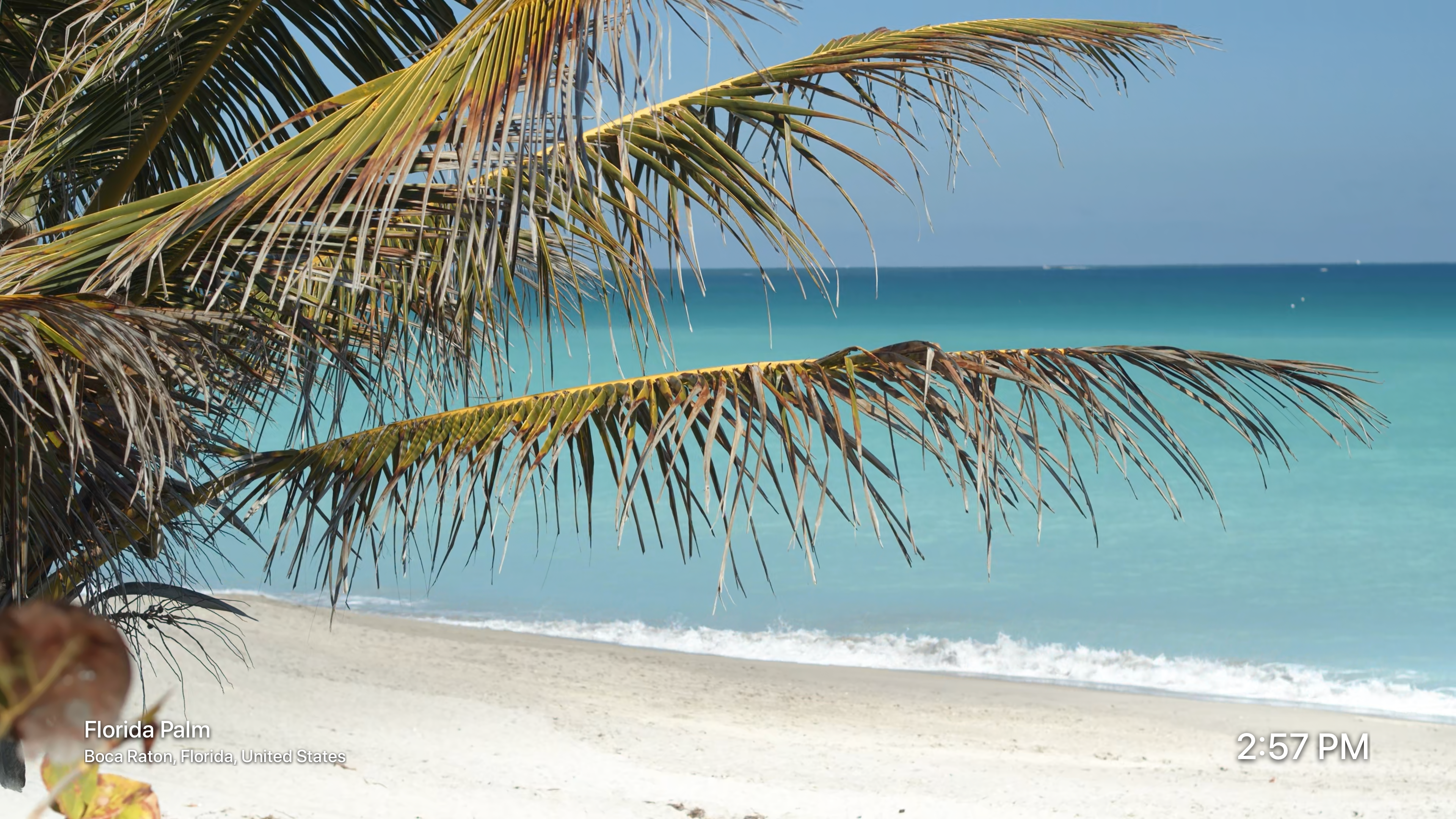 Beaches by Magic Window screenshot 3