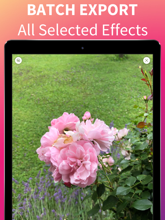 Filter It iPad screenshot 4 - Photo & Video app