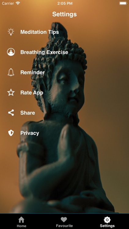 Meditation relax music - sound screenshot-3