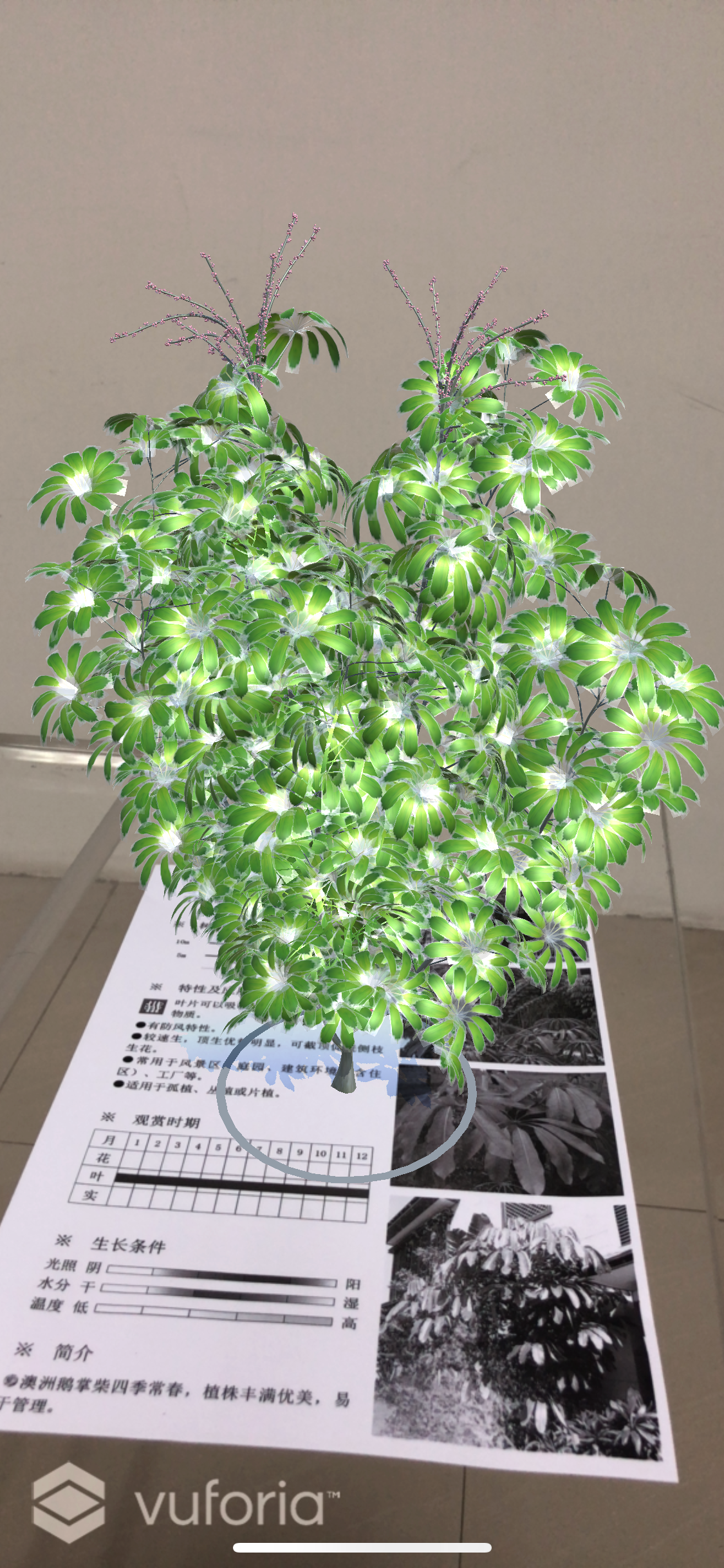 ArPlant