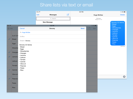 MVP List: The simple punch list screenshot