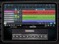 Cali Reverb Modern High Gain ipad bilder 1