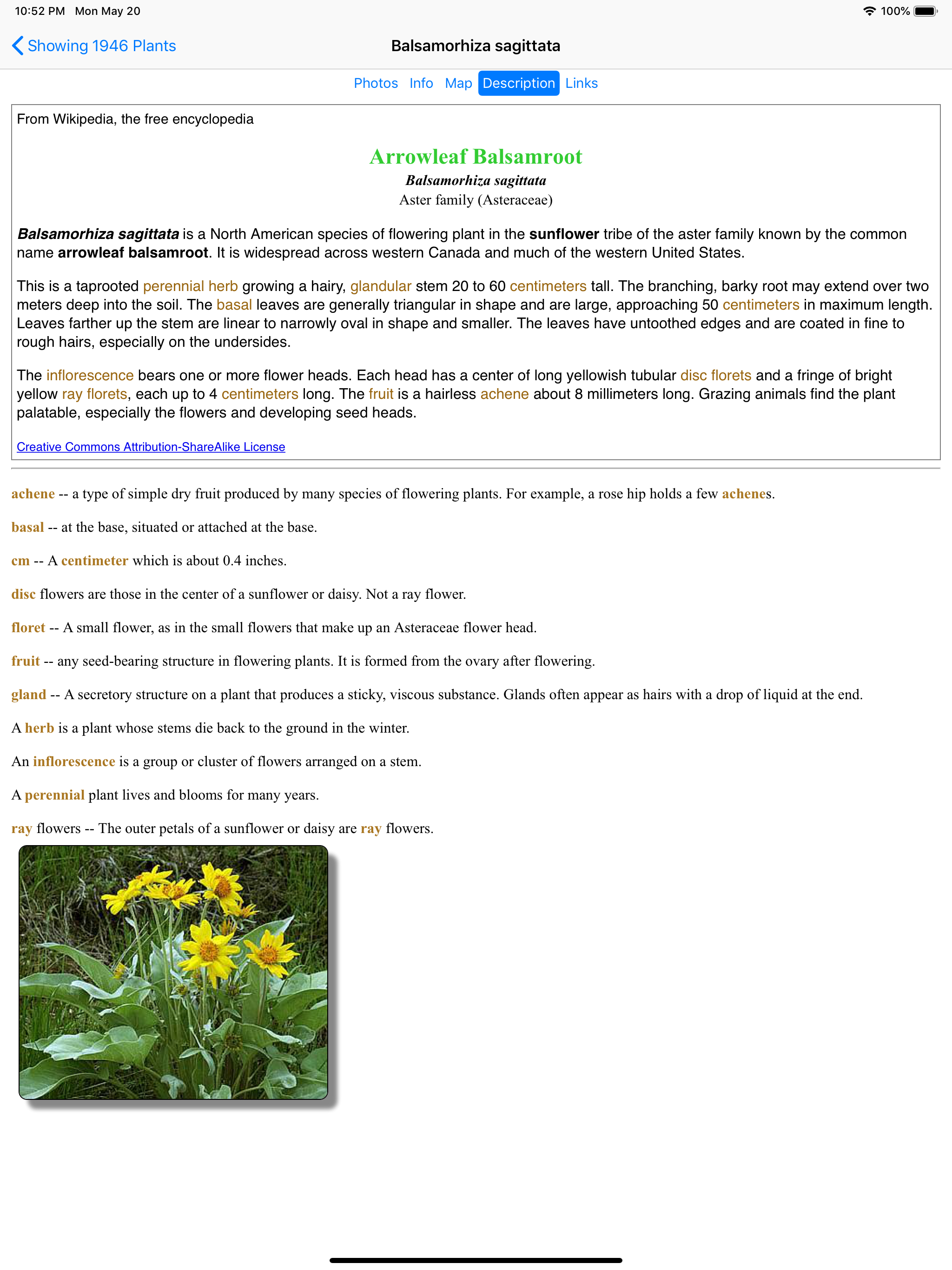 Alberta Wildflowers screenshot 15