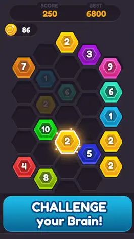 Game screenshot Hexa Puzzle Connect apk