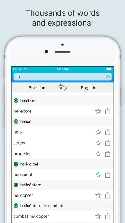 English Brazilian Dictionary +