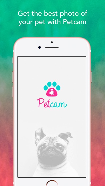 Petcam - Pet Camera