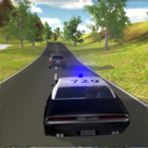 Police Pursuit Online iOS App