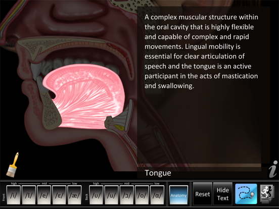 Screenshot #6 pour Vowels Front Back