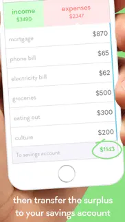 monthly - easy personal budget iphone screenshot 2