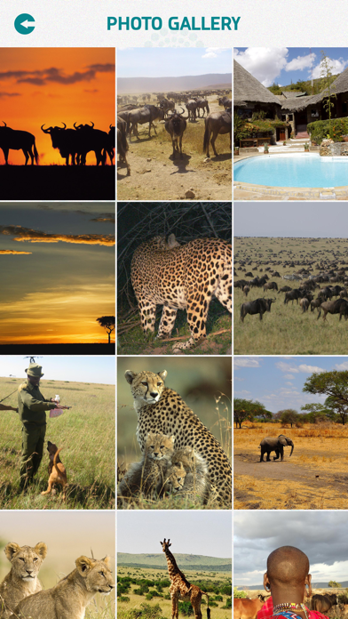 Masai Mara National Reserve screenshot 4