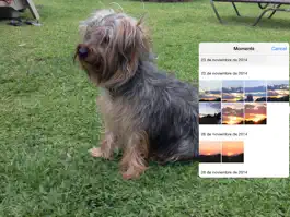 Game screenshot Collages Maker apk