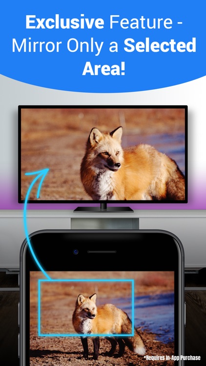 Mirror for Chromecast +