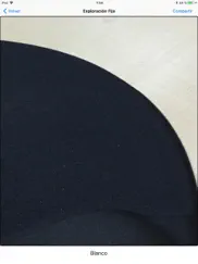 identificador de colores once ipad capturas de pantalla 4