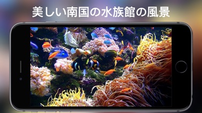 アクアリウムhd Iphoneアプリ Applion アクアリウムhd Iphoneアプリ Applion