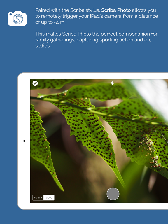 Screenshot #4 pour Scriba Photo