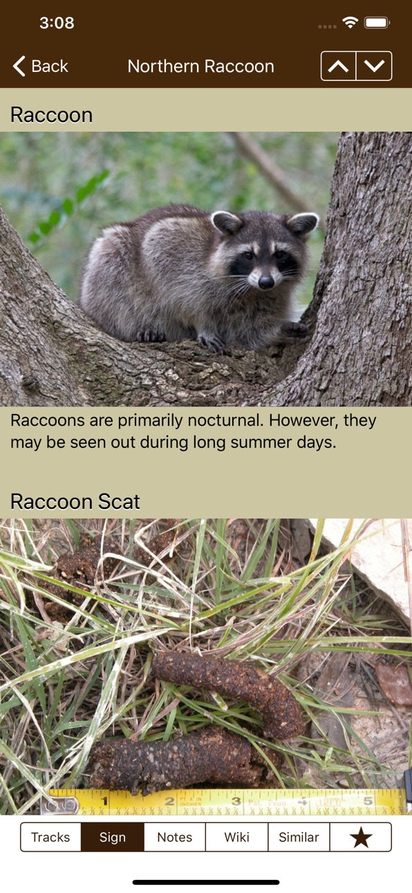 iPhone screenshot