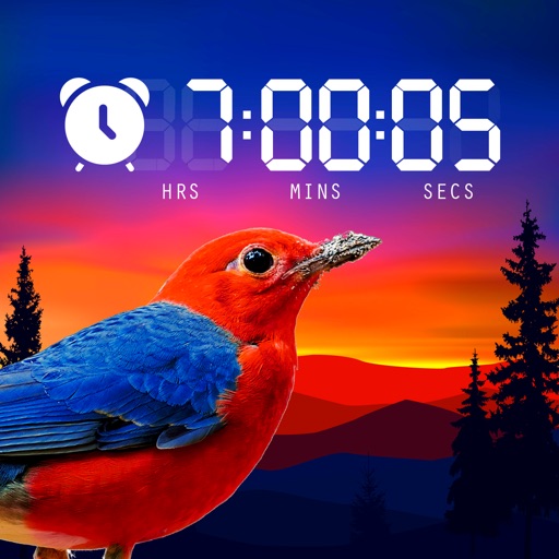 Alarm nature clock for iphone icon