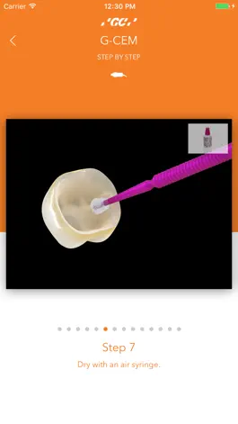 Game screenshot GC Luting Guide hack
