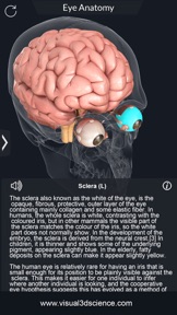 My Eye Anatomy screenshot