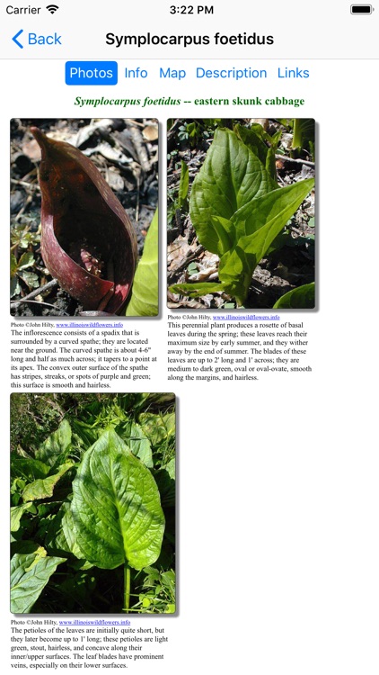 Pennsylvania Wildflowers screenshot-4