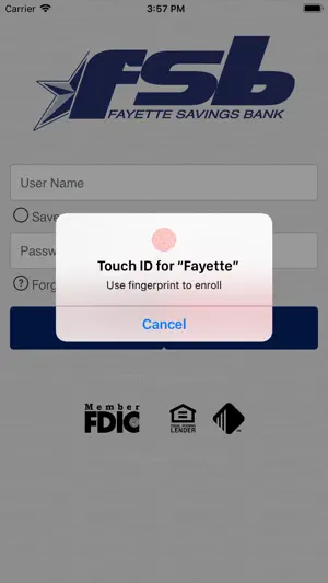 Fayette Savings Bank screenshot 2