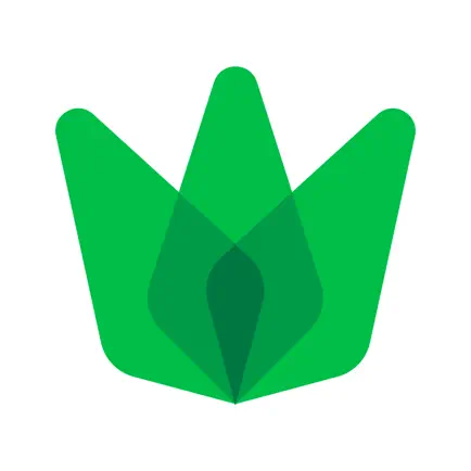 Letsweed: Weed Delivery Cheats