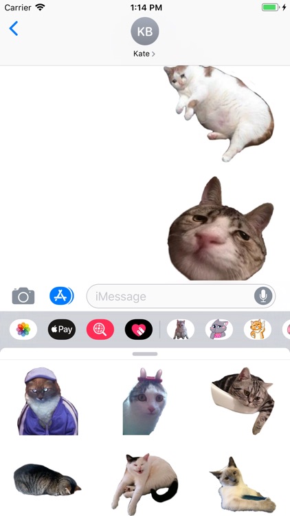 Strange Cats Sticker Pack